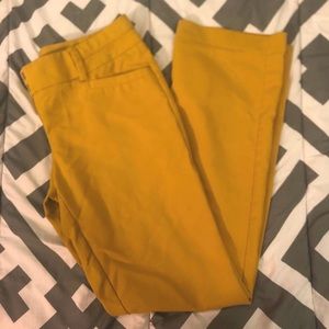 Mustard, mid-rise, 7th Avenue dress pants